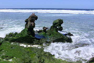 納威利威利港口查詢_nawiliwili港口代碼_美屬太平洋群島納威利威利港口代碼