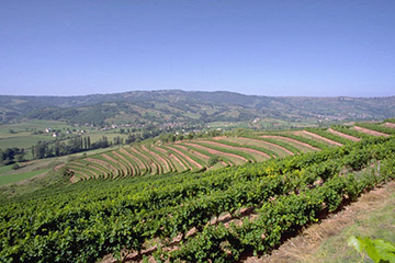 瓦利斯和富圖納群島瓦利斯島機(jī)場(chǎng)三字代碼(WLS),瓦利斯島機(jī)場(chǎng)(Wallis Hihifo airport)四字碼,瓦利斯和富圖納群島機(jī)場(chǎng)三字碼查詢