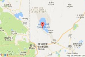 薩利夫港口查詢_saleef港口代碼_也